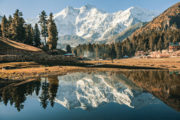 Trekxo Travel